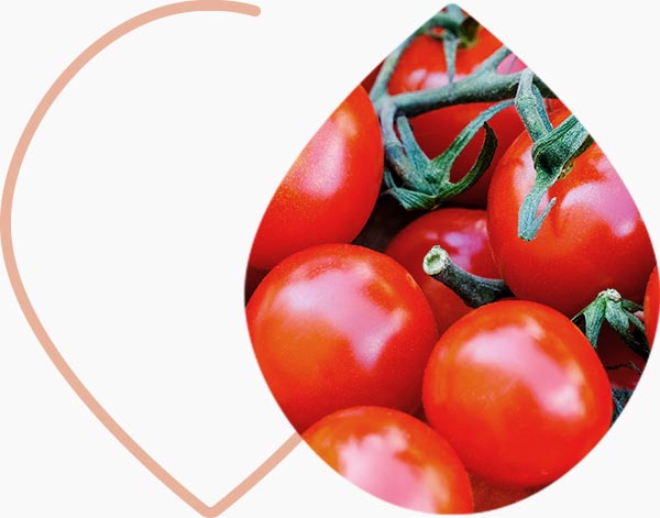 Tomates, naturellement riches en lycopène