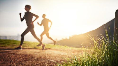 L'importance du collagène dans le renforcement musculaire