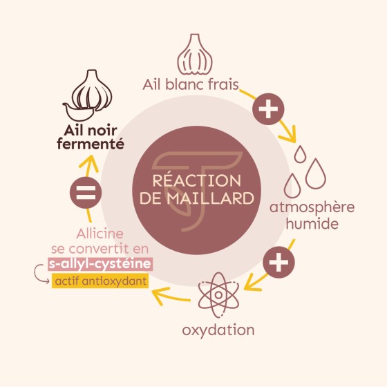 Ail noir Bio Fermenté