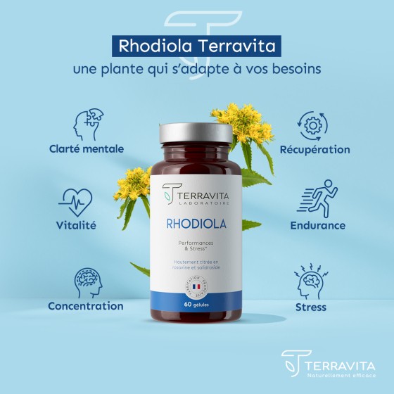 Rhodiola