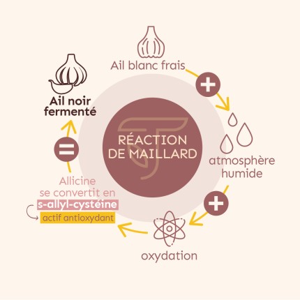 ail noir maladies cardiovasculaires