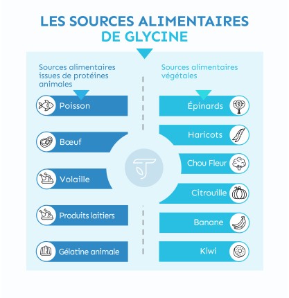 les sources alimentaires de glycine Terravita