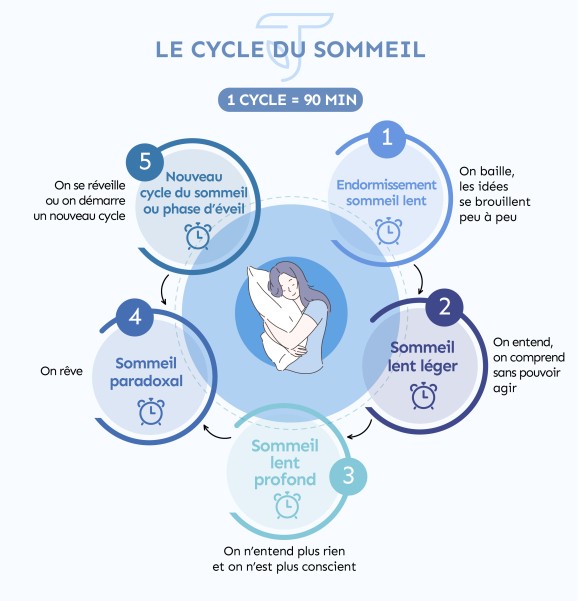 cycle du sommeil