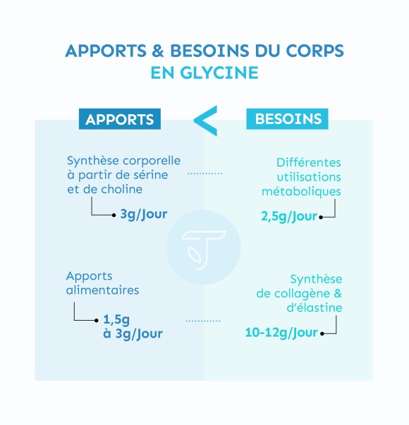 besoins et apports quotidiens en Glycine